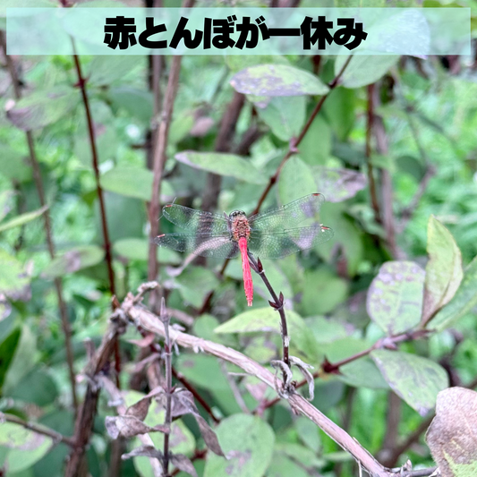 向き合えば見えてくる