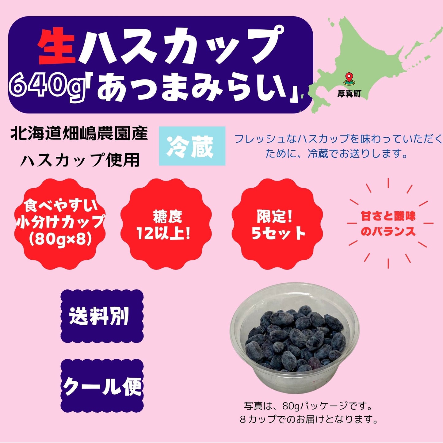 北海道産冷蔵ハスカップ 640g〈あつまみらい〉限定5セット※1回のご購入で1セットまで