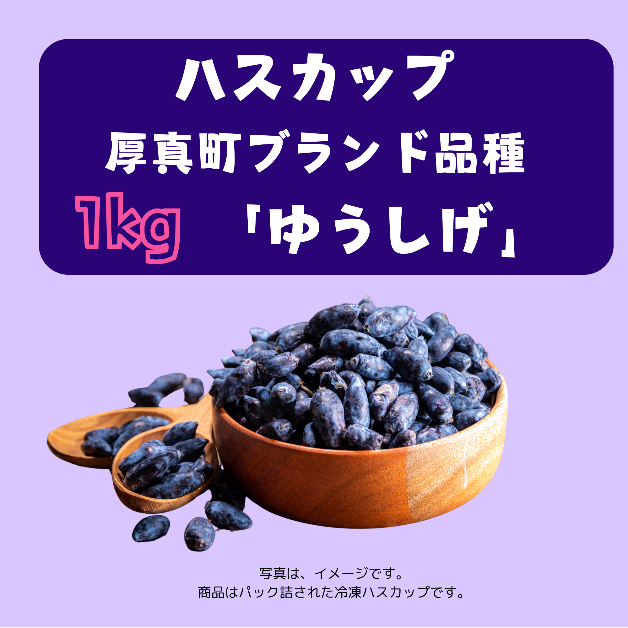 ハスカップ(冷凍果実) 優品1㌔ 北海道産冷凍ハスカップ 1kg〈ゆうしげ〉※1回のご購入で1
