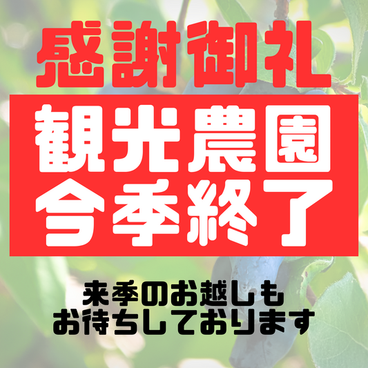 【感謝御礼】畑嶋ハスカップ農園今季終了