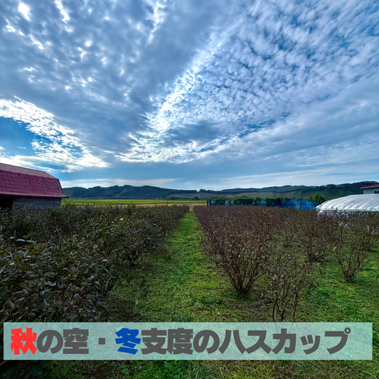 【完売御礼】