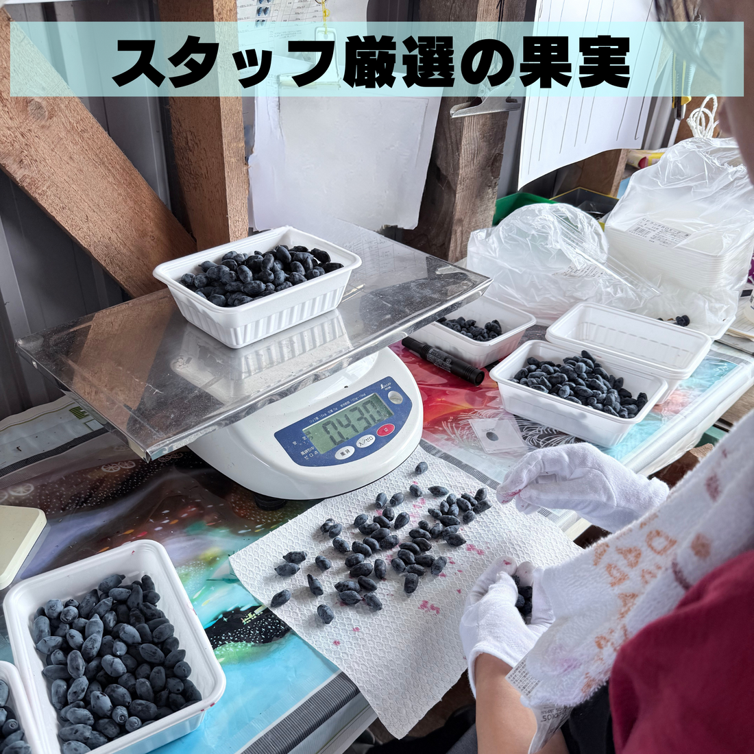 【予約は6月30日まで】