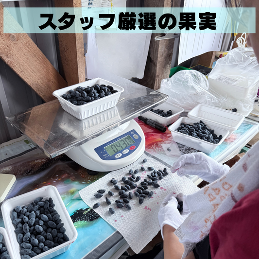 【予約は6月30日まで】