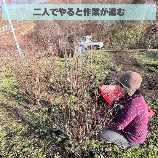 二人なら、冬の畑仕事もこわくない
