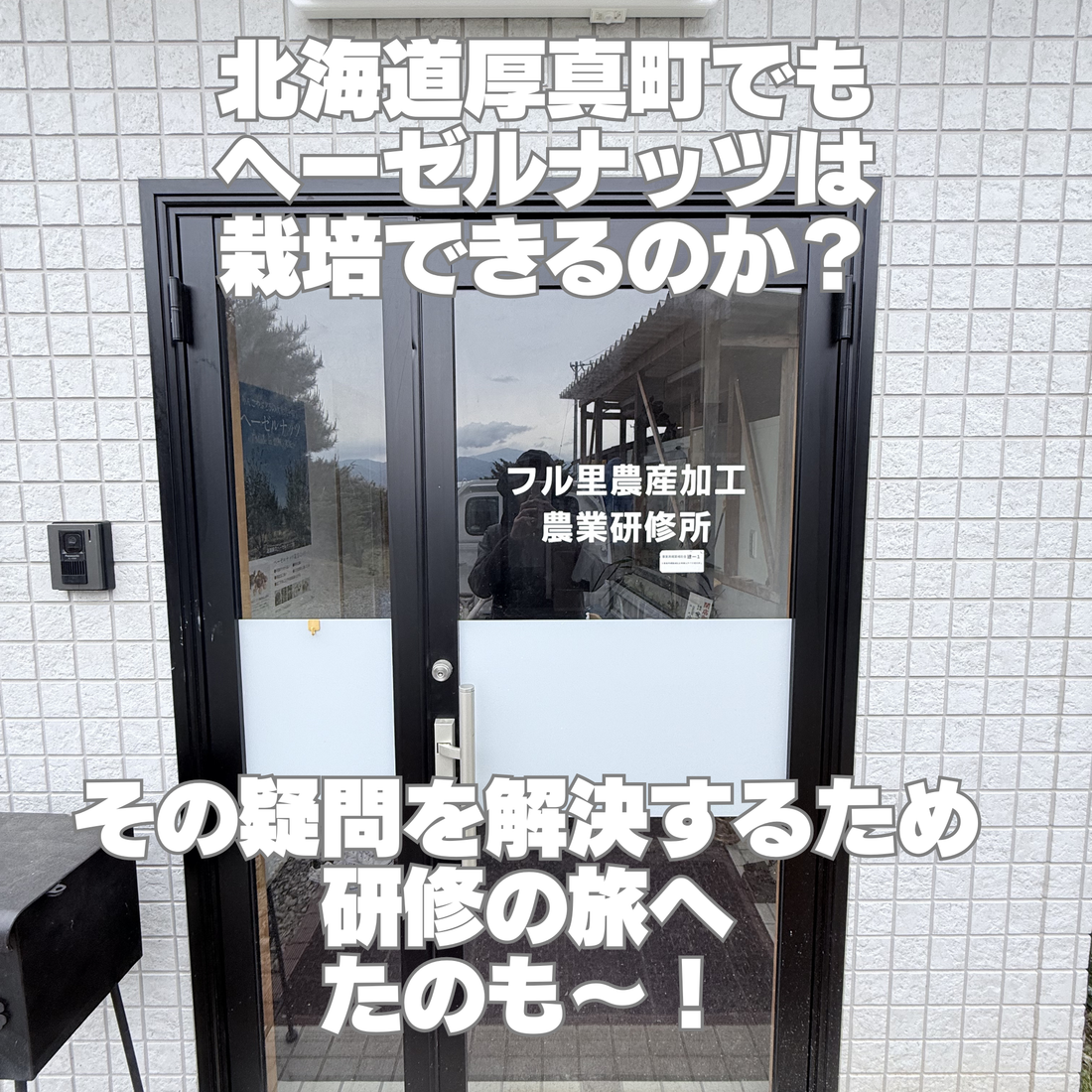 ヘーゼルナッツの可能性