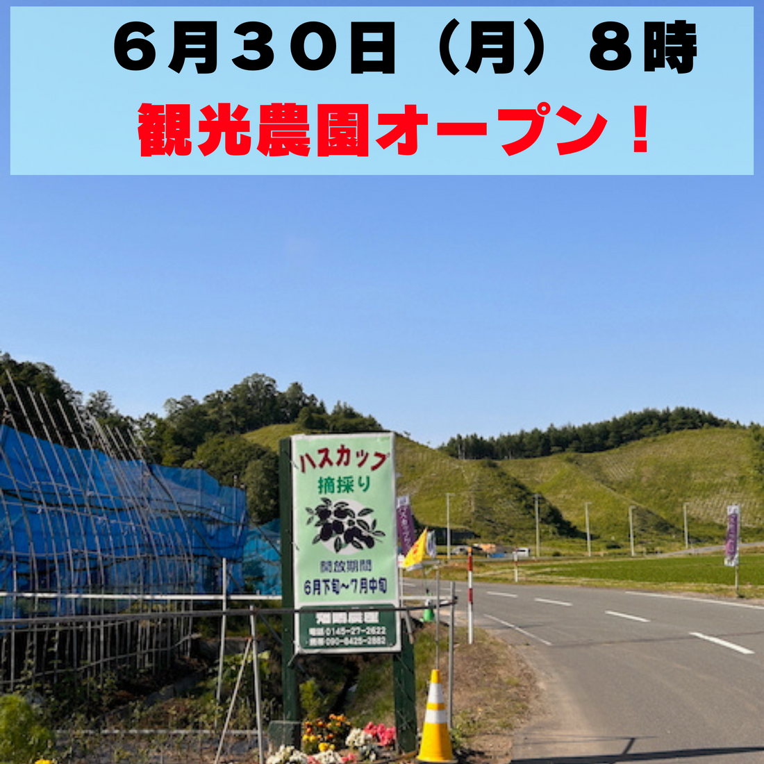 6月30日（月）8:00 OPEN！