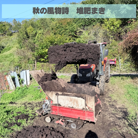 来季の準備を着々と