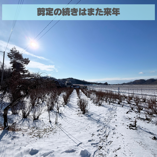 2025年仕事納め