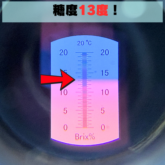 甘さ13度の衝撃