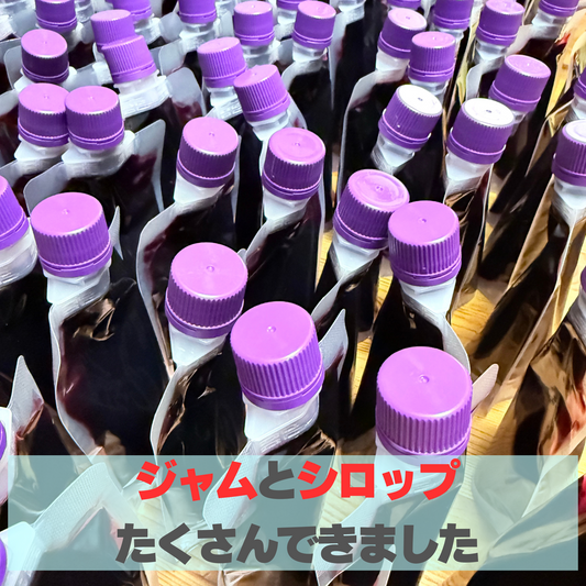【ジャムとシロップ、ついでにトマトソースできました！】
