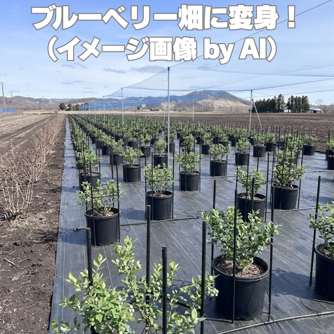 新しい畑のビジョンをAIと