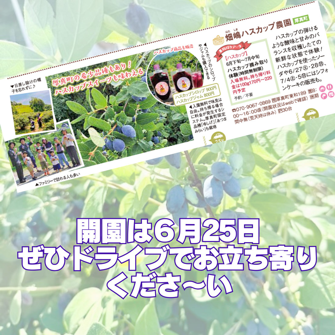 じゃらん北海道に載っちゃいました