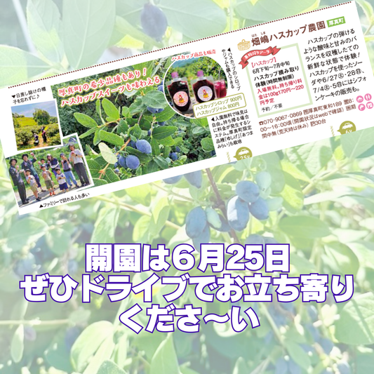 じゃらん北海道に載っちゃいました