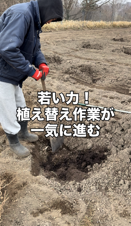 「若い力」に助けられて