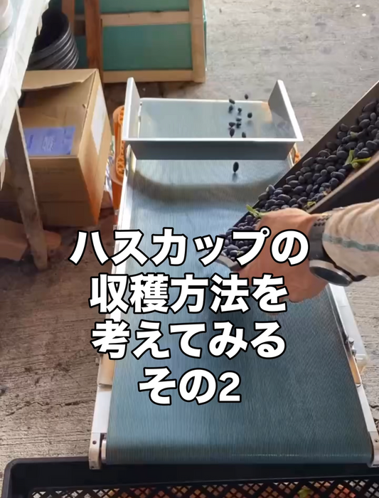 収穫方法を考えるその２