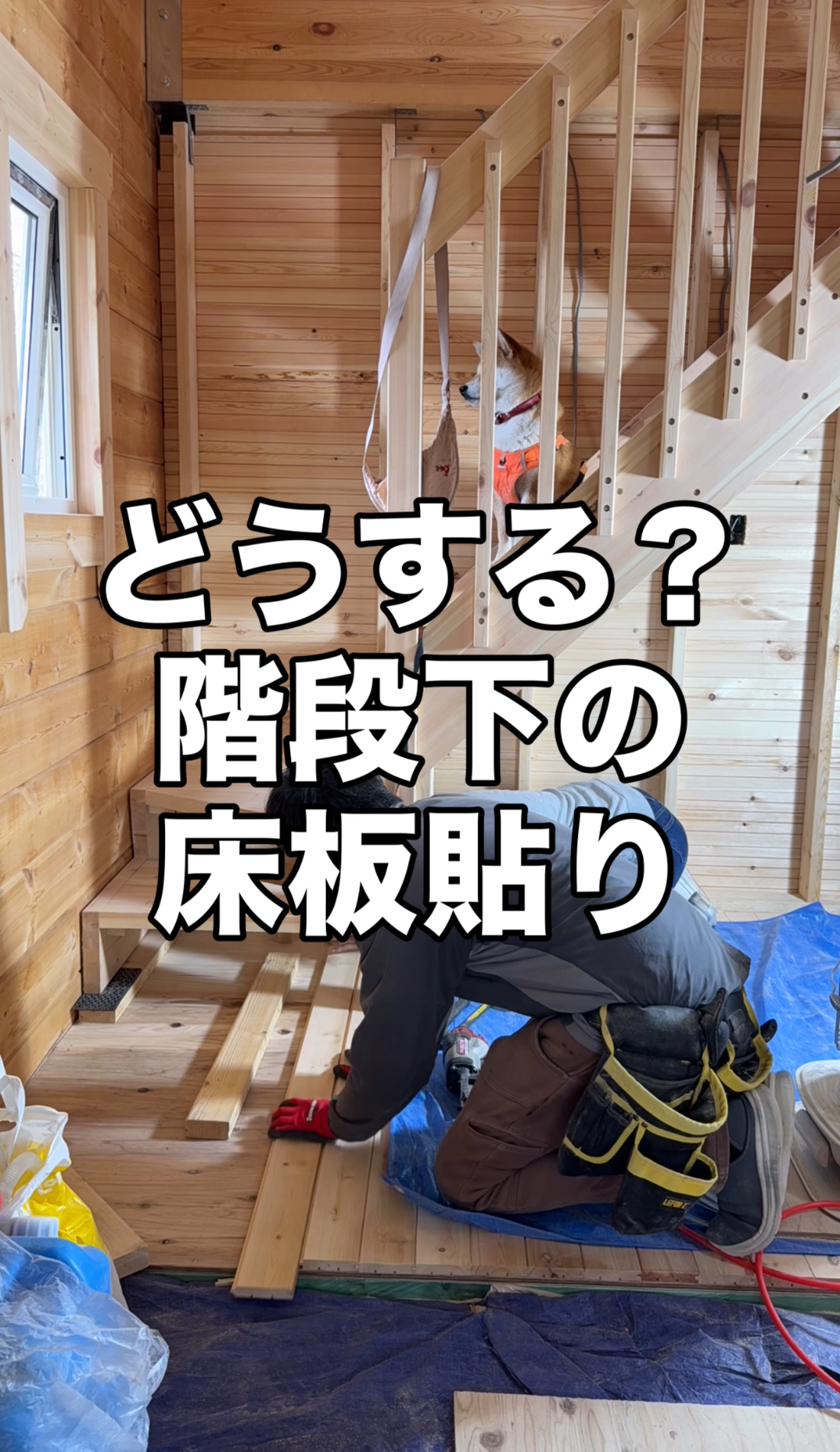 木が「動く」から