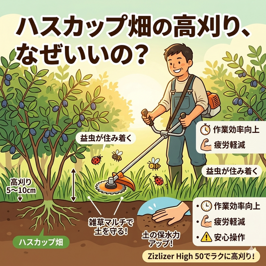草との戦い、始まりました