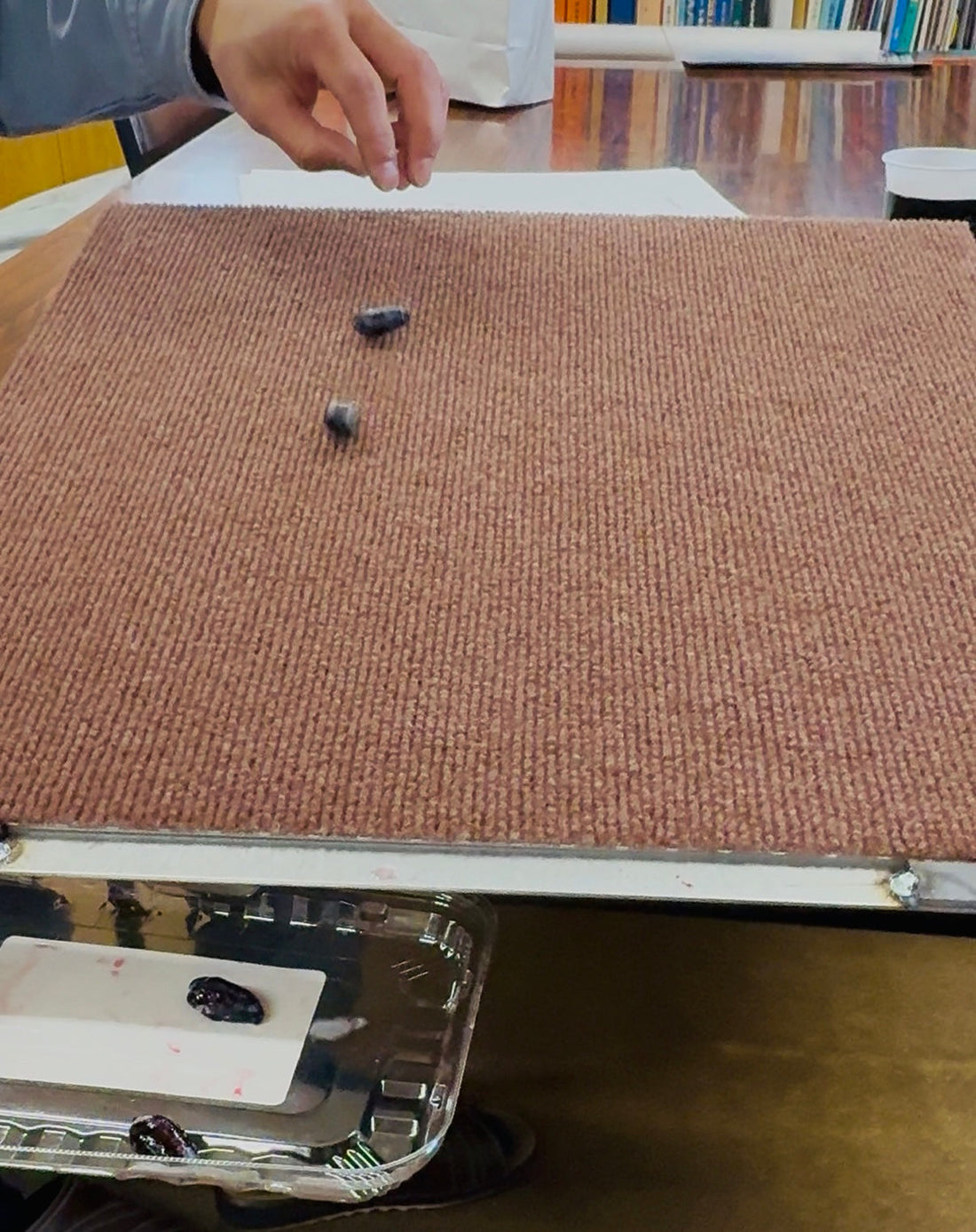 「ハニーベリーころりん」収穫の新しいかたち──効率と品質を両立させるカート開発の物語