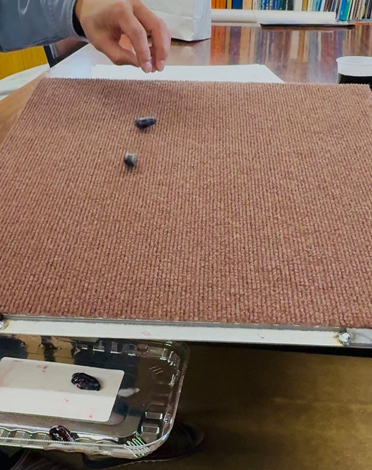 「ハニーベリーころりん」収穫の新しいかたち──効率と品質を両立させるカート開発の物語