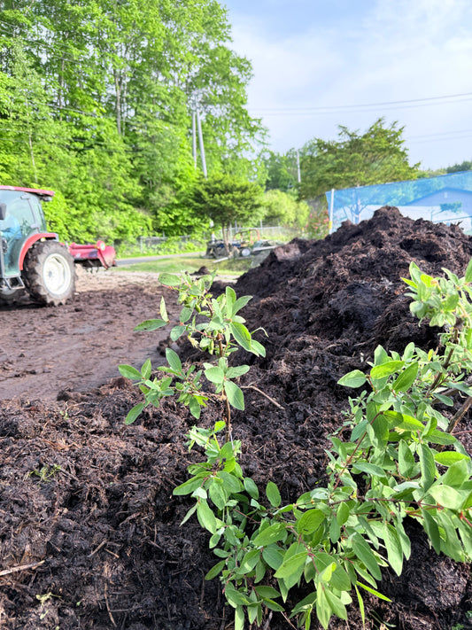 88歳昭さんの神業トラクターで“ふかふか完熟堆肥”へ