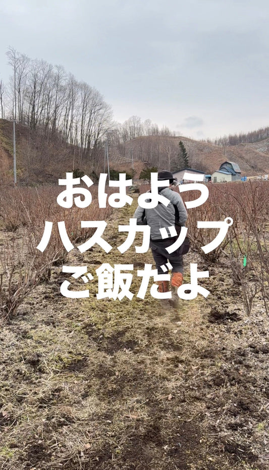 目覚めの一杯を