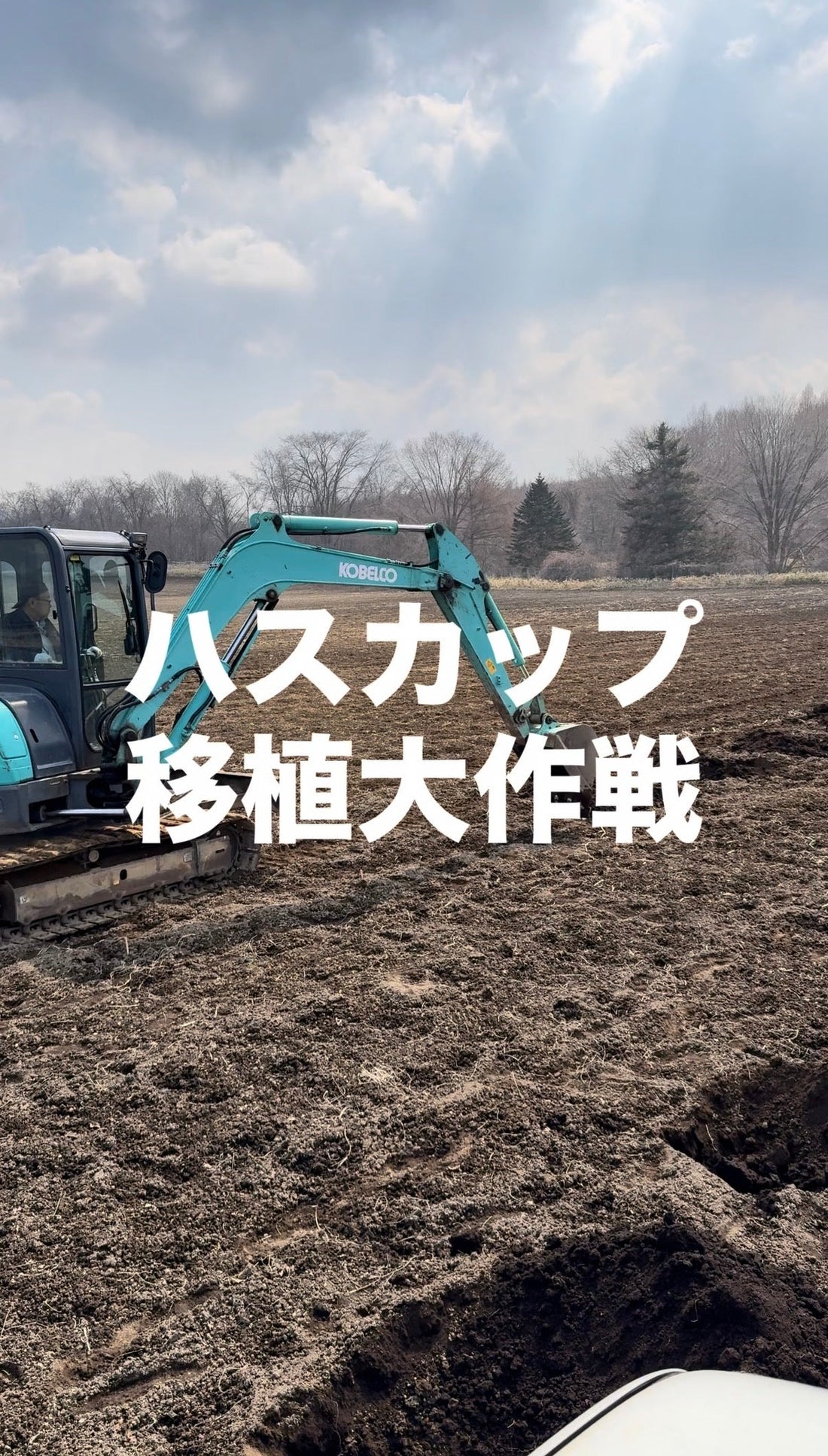 【ハスカップ移植大作戦】