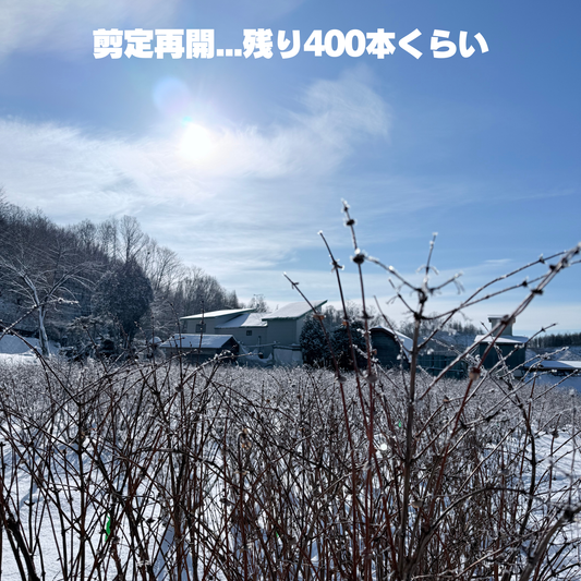 年始のごあいさつ