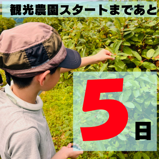 ゆうしげ、甘さの深みへ