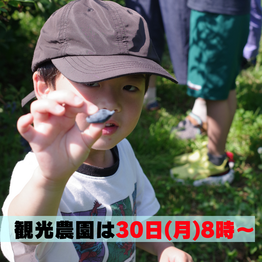 【お客様からの嬉しい声】