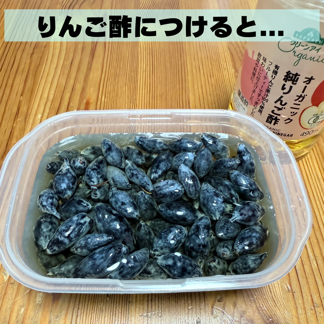 【ハスカップ保存の新常識？】