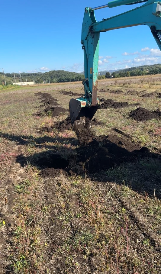 ハスカップのお引っ越し準備