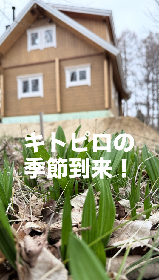 キトピロの季節到来！