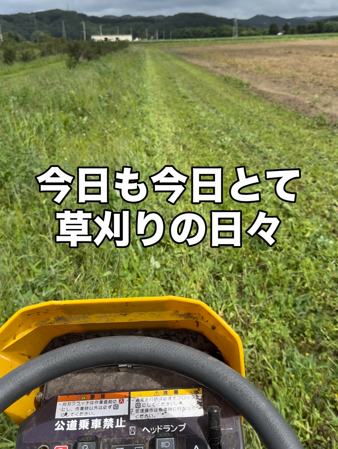 畑の真ん中で風を感じる日々