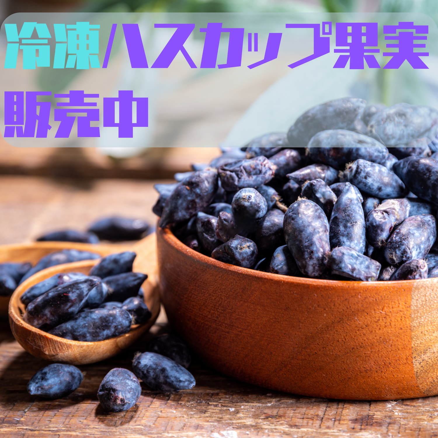 ハニーベリー☆ハスカップ販売中