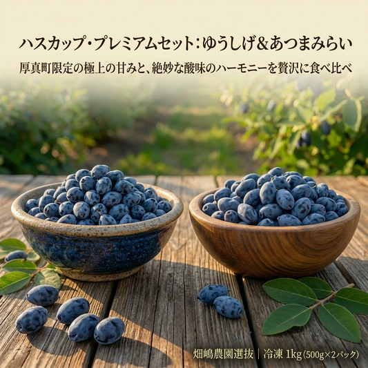 ハスカップ2種食べ比べセット 1kg（あつまみらい・ゆうしげ 各500g / 北海道厚真町・畑嶋ハスカップ農園産）