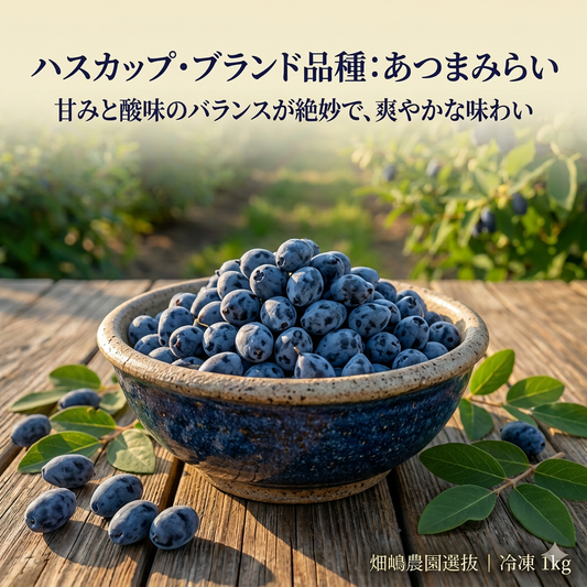 ブランド品種 あつまみらい 1kg（北海道厚真町・畑嶋ハスカップ農園産 / 冷凍）