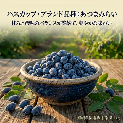【復興支援対象】ブランド品種 あつまみらい 1kg（北海道厚真町・畑嶋ハスカップ農園産 / 冷凍）