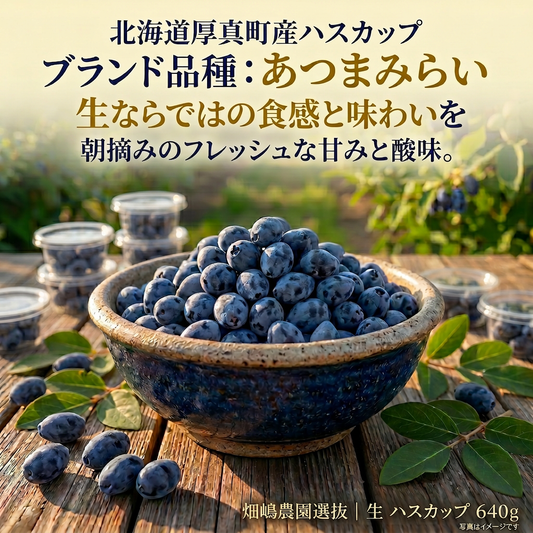 朝摘み生ハスカップ・あつまみらい 640g（80g×8パック / 北海道厚真町・畑嶋ハスカップ農園産）