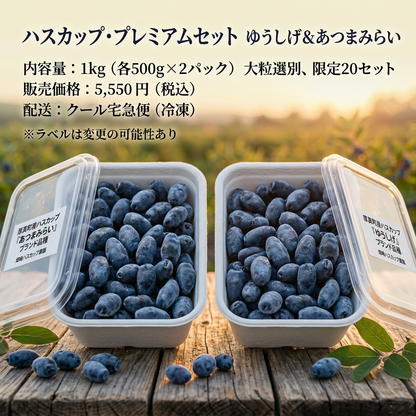 ハスカップ2種食べ比べセット 1kg（あつまみらい・ゆうしげ 各500g / 北海道厚真町・畑嶋ハスカップ農園産）