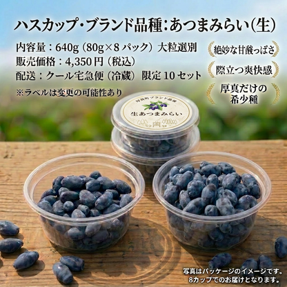 朝摘み生ハスカップ・あつまみらい 640g（80g×8パック / 北海道厚真町・畑嶋ハスカップ農園産）