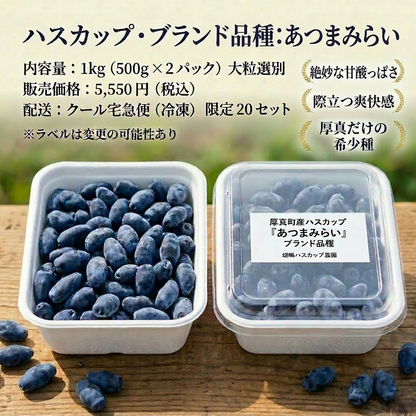 【復興支援対象】ブランド品種 あつまみらい 1kg（北海道厚真町・畑嶋ハスカップ農園産 / 冷凍）