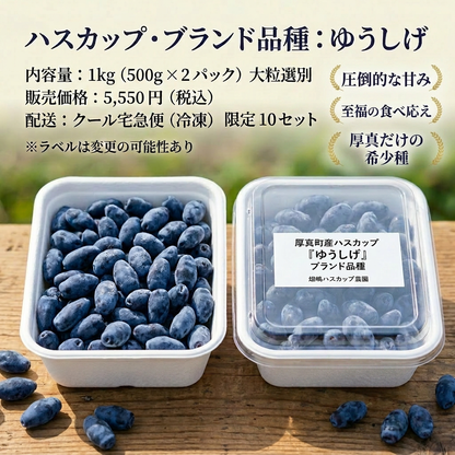 ブランド品種 ゆうしげ 1kg（北海道厚真町・畑嶋ハスカップ農園産 / 冷凍）