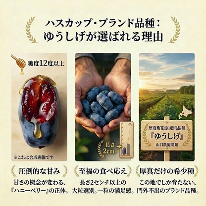 ハスカップ2種食べ比べセット 1kg（あつまみらい・ゆうしげ 各500g / 北海道厚真町・畑嶋ハスカップ農園産）