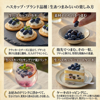 朝摘み生ハスカップ・あつまみらい 640g（80g×8パック / 北海道厚真町・畑嶋ハスカップ農園産）