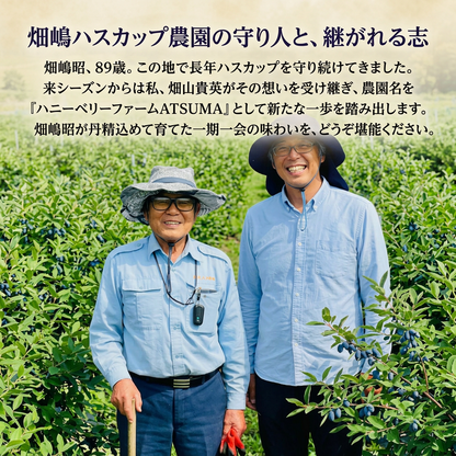 【復興支援対象】ブランド品種 あつまみらい 1kg（北海道厚真町・畑嶋ハスカップ農園産 / 冷凍）
