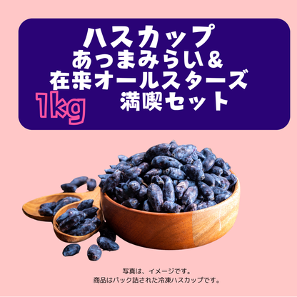 北海道産冷凍ハスカップ 1kg〈あつまみらい＆在来オールスターズ〉※１回のご購入で１セットまで