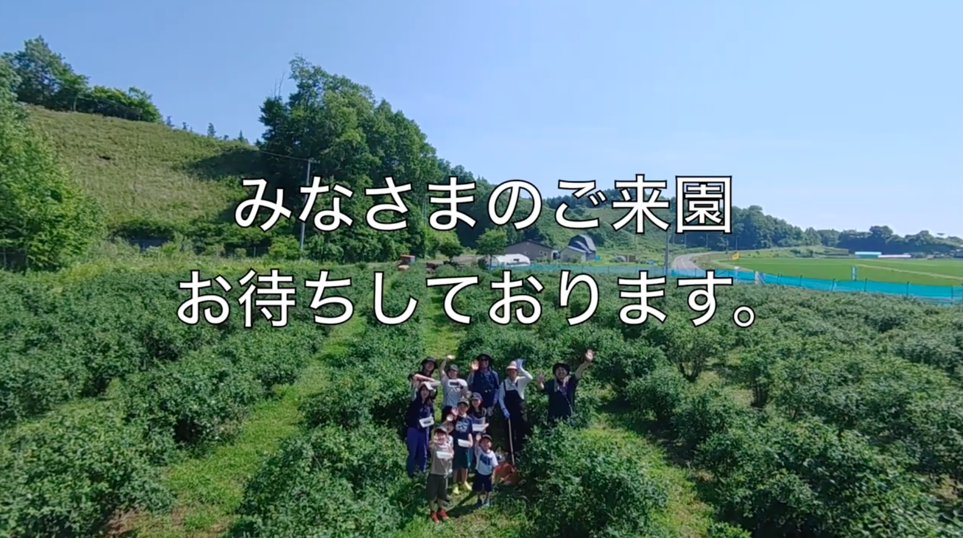 動画を読み込む: ハスカップ観光農園プロモーションビデオ