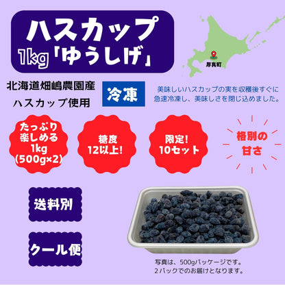 北海道産冷凍ハスカップ 1kg〈ゆうしげ〉※１回のご購入で１セットまで