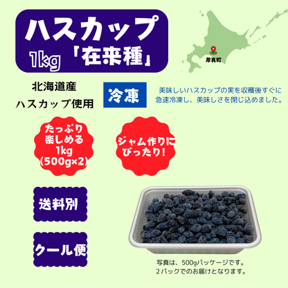 北海道産冷凍ハスカップ 1kg〈在来種〉※１回のご購入で１セットまで