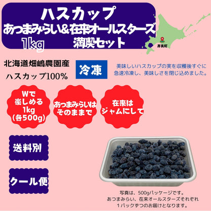 北海道産冷凍ハスカップ 1kg〈あつまみらい＆在来オールスターズ〉※１回のご購入で１セットまで